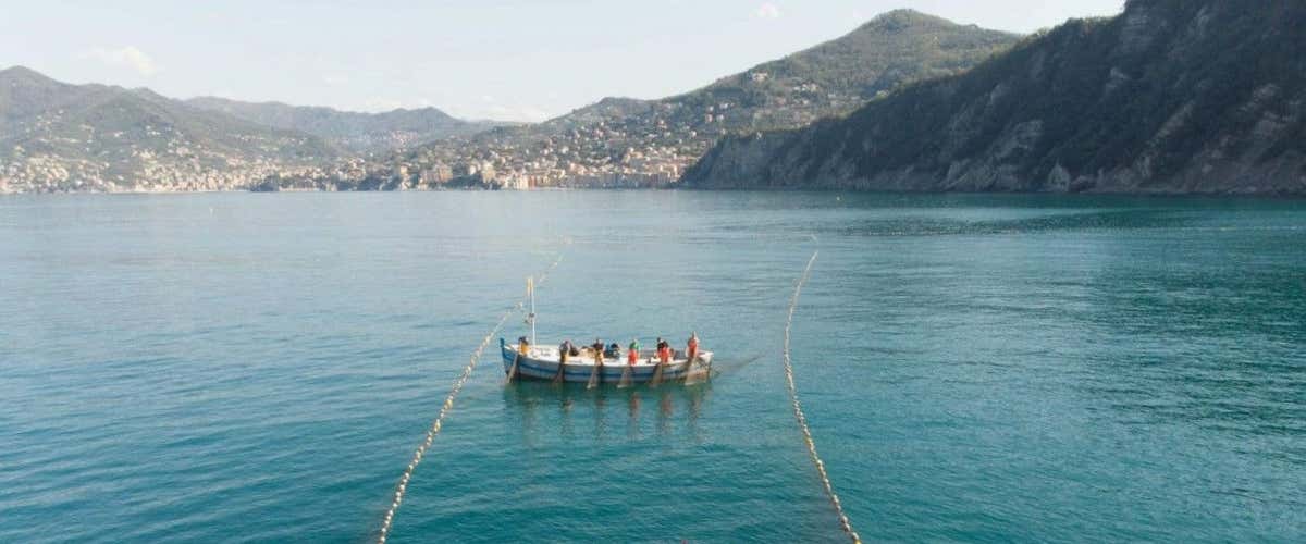 Boat tour on the trail of the Tonnarella di Camogli