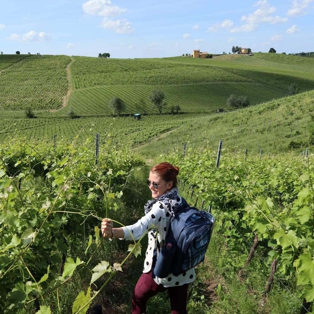 Picnic in vigna nel cuore dell’Oltrepò Pavese