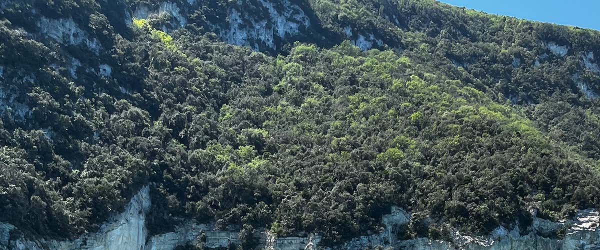Escursione in barca di 2 ore lungo la Riviera del Conero con aperitivo