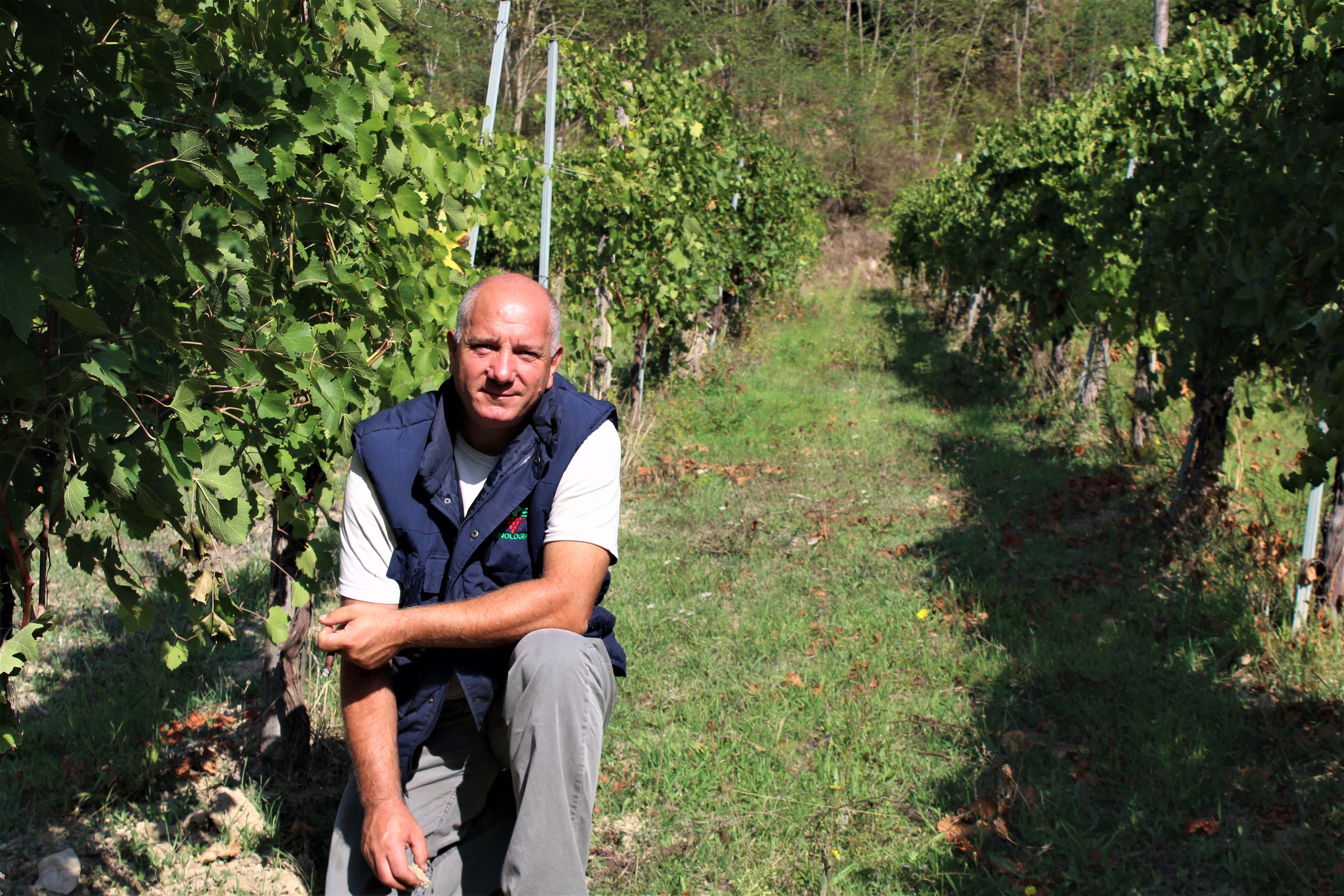 Degustazione vini con tour in vigna e in cantina a Tufo in Irpinia