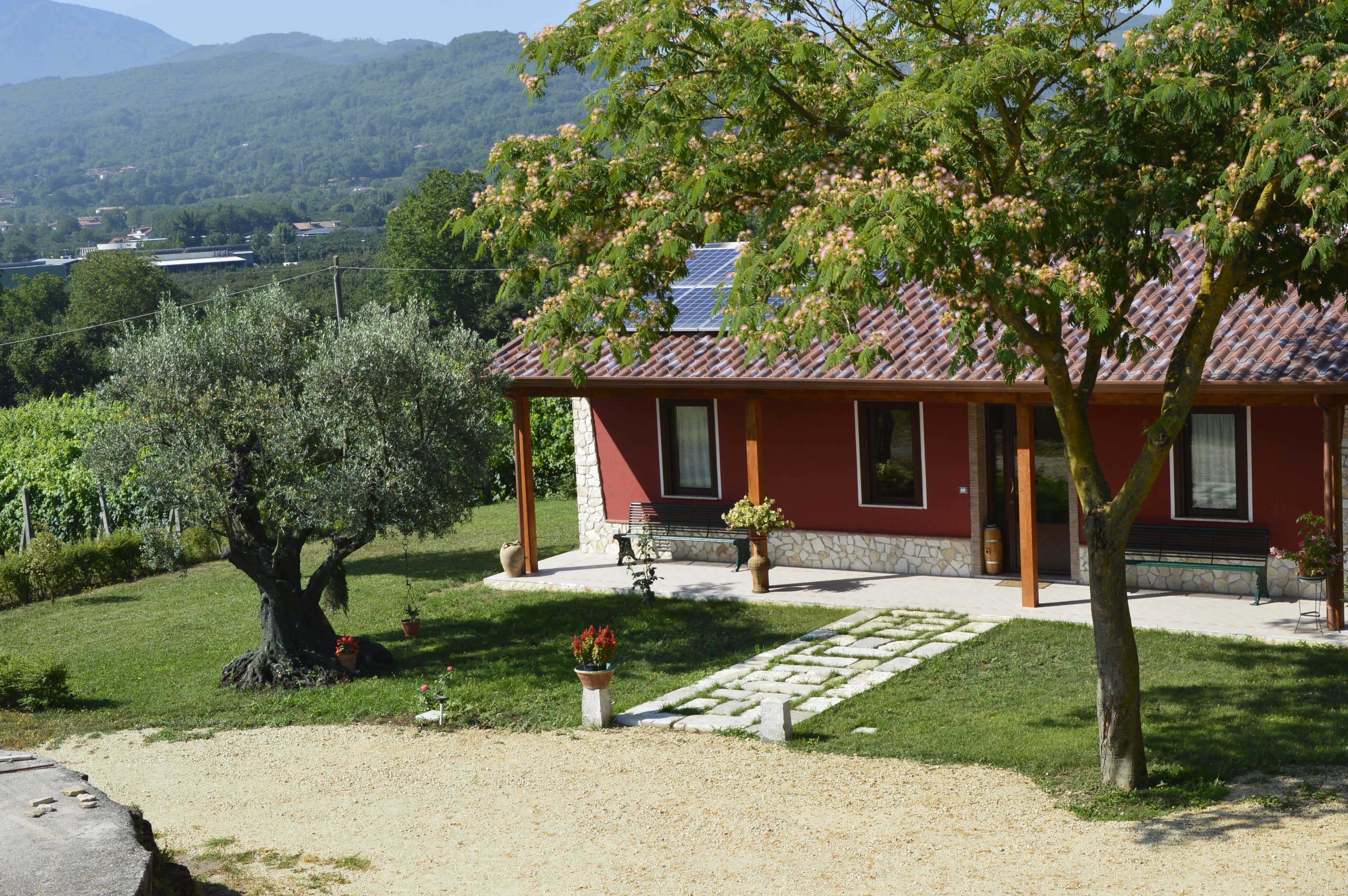 Degustazione di Fiano di Avellino e tour tra i vigneti a Cesinali in Irpinia