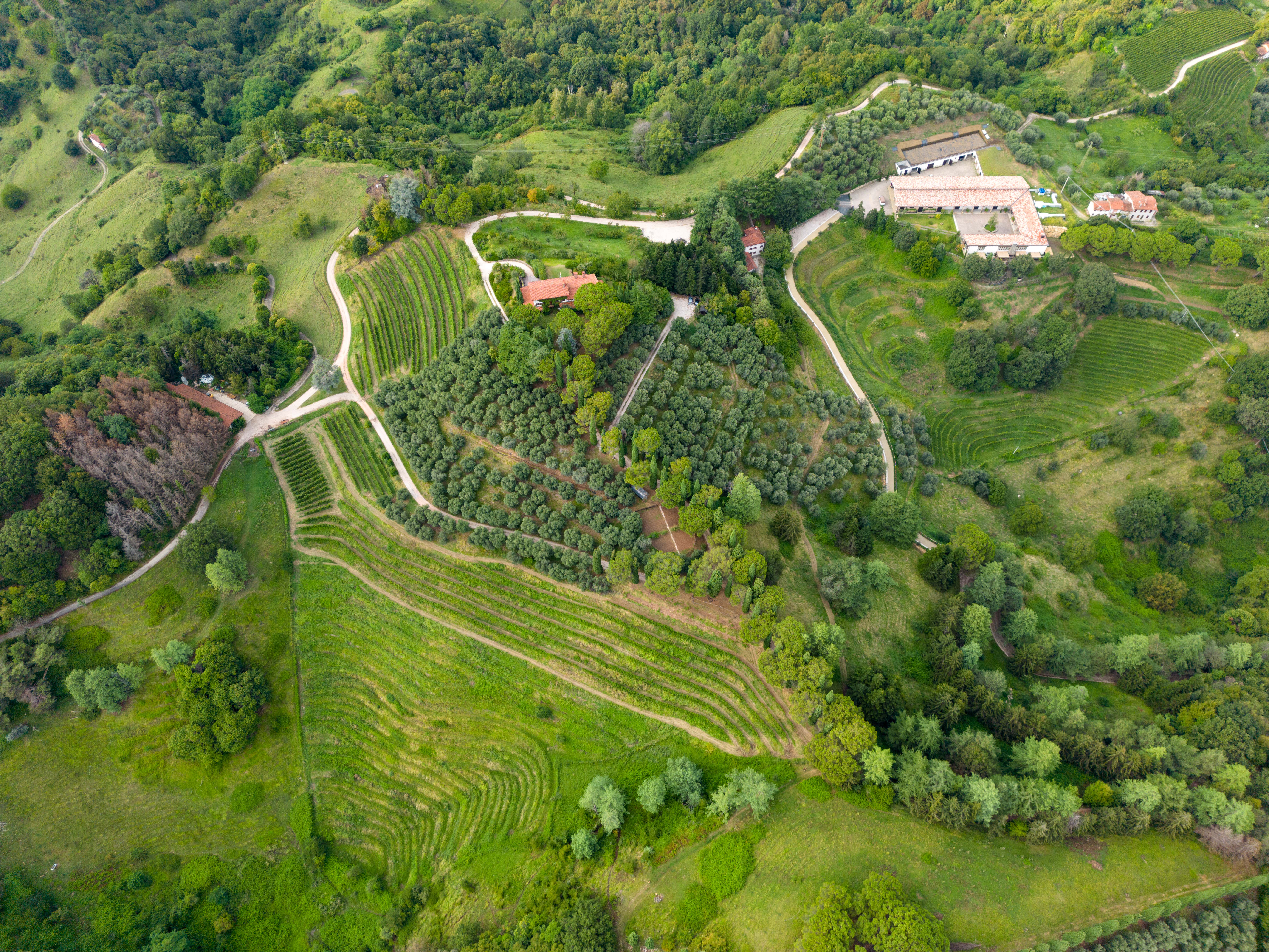 Tour in vigna e in cantina con degustazione di 5 vini a Marostica