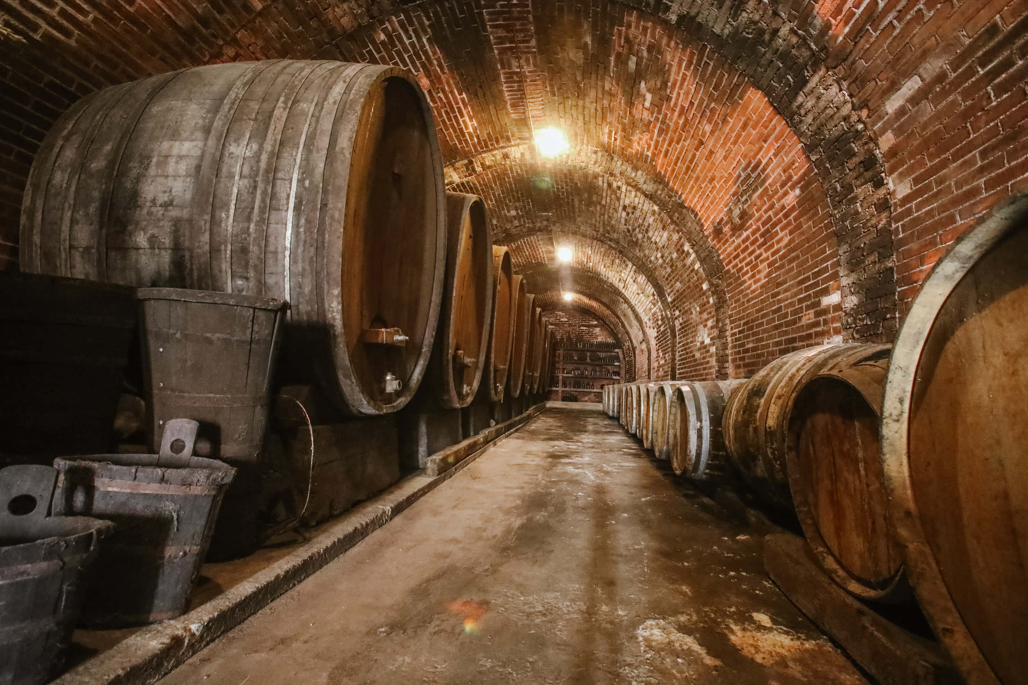 Visita in cantina e degustazione di 5 vini nel Monferrato