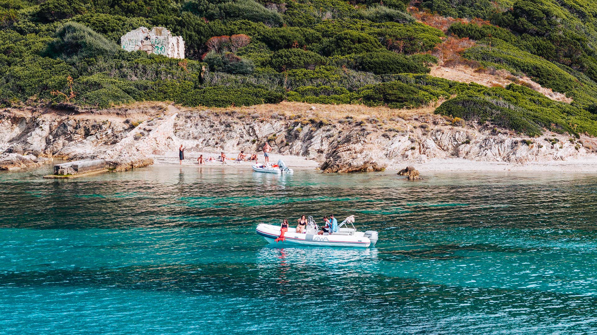 Escursione in gommone di 4 ore con avvistamento delfini e snorkeling a Golfo Aranci