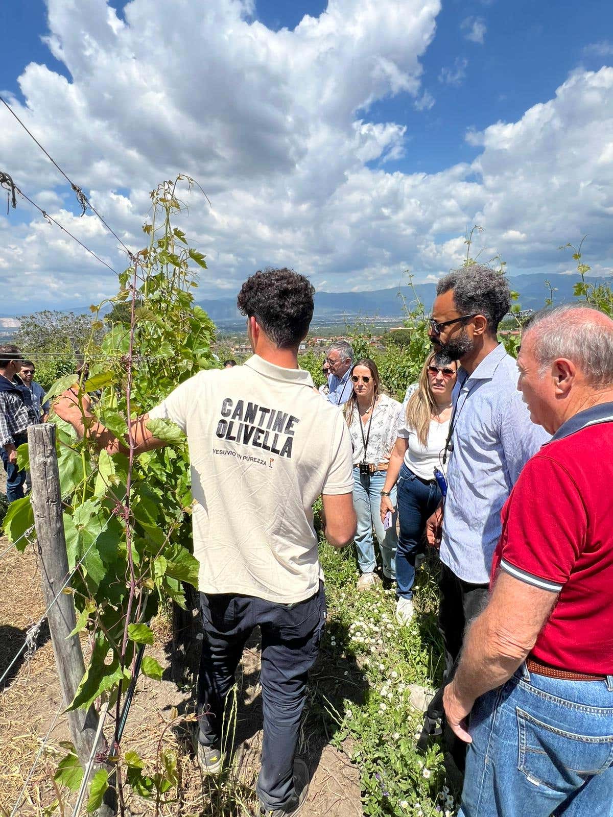 Pranzo degustazione con passeggiata tra le vigne del Vesuvio