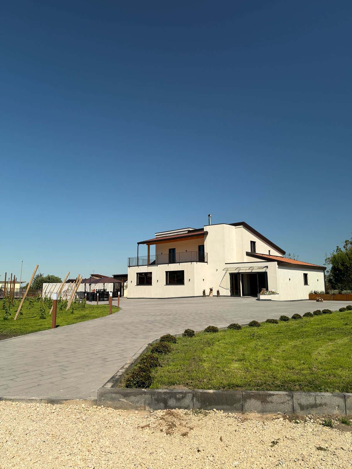 Degustazione vini con visita in cantina alle pendici del Vesuvio