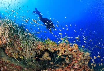 Battesimo del mare a Bosa Marina