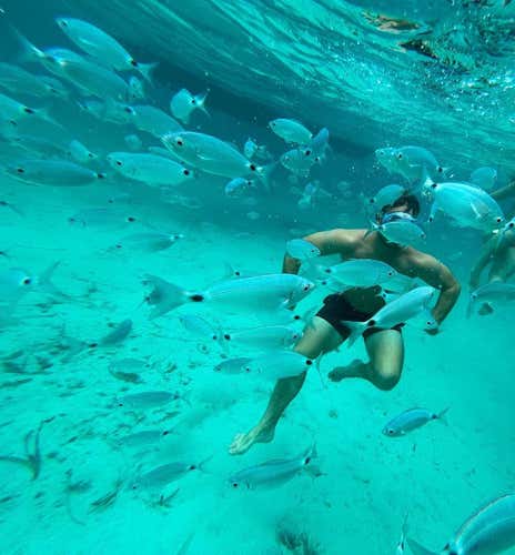 Dinghy tour and snorkelling from Palau to the Maddalena Archipelago