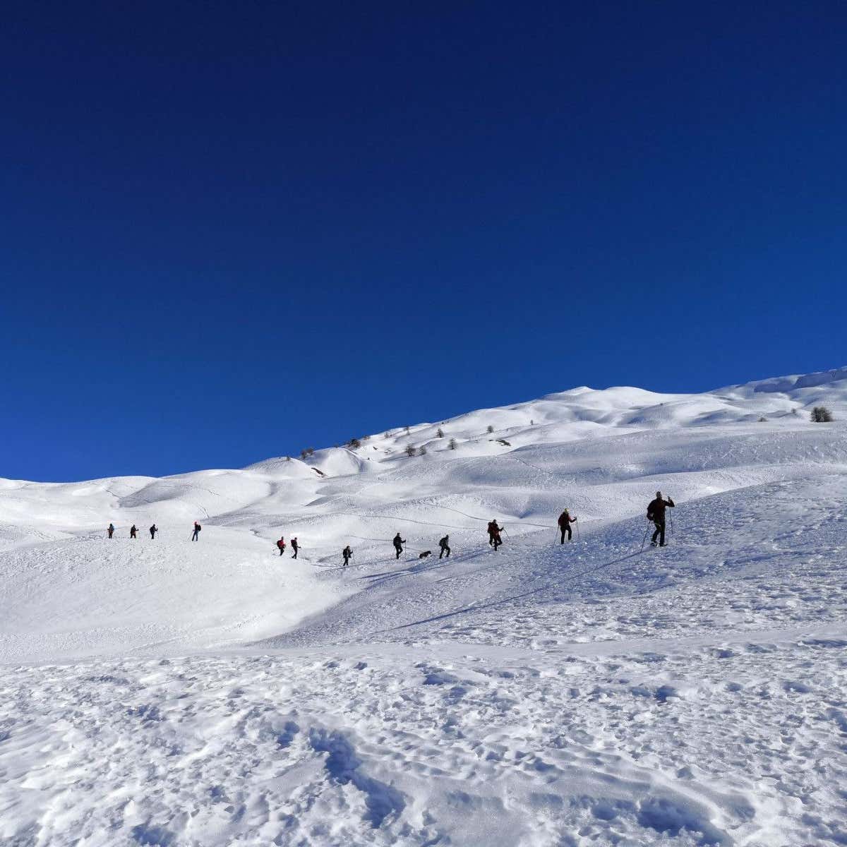 Ciaspolata in Alta Val di Susa a Bousson | Freedome