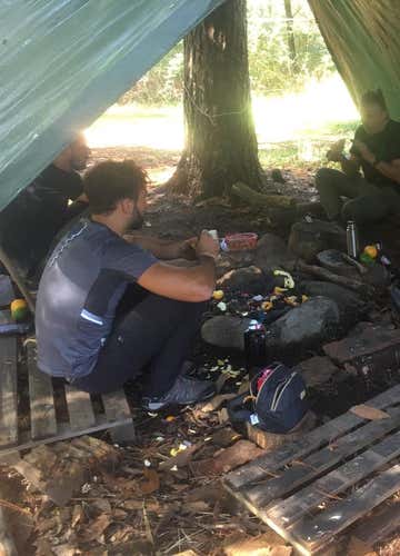 Survival experience in the Ticino Park