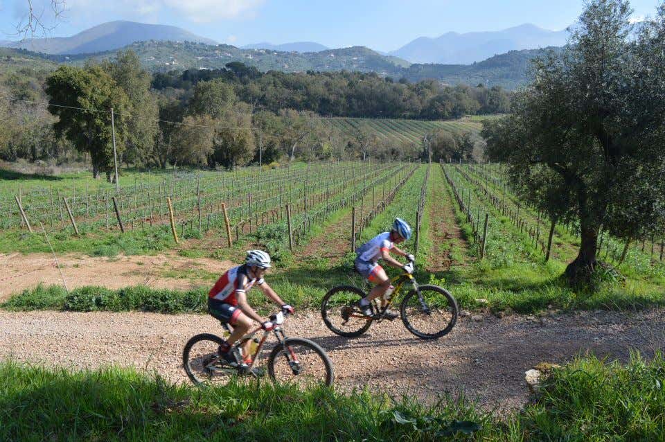 Tour in e-bike sull'Appia Antica con degustazione di vino