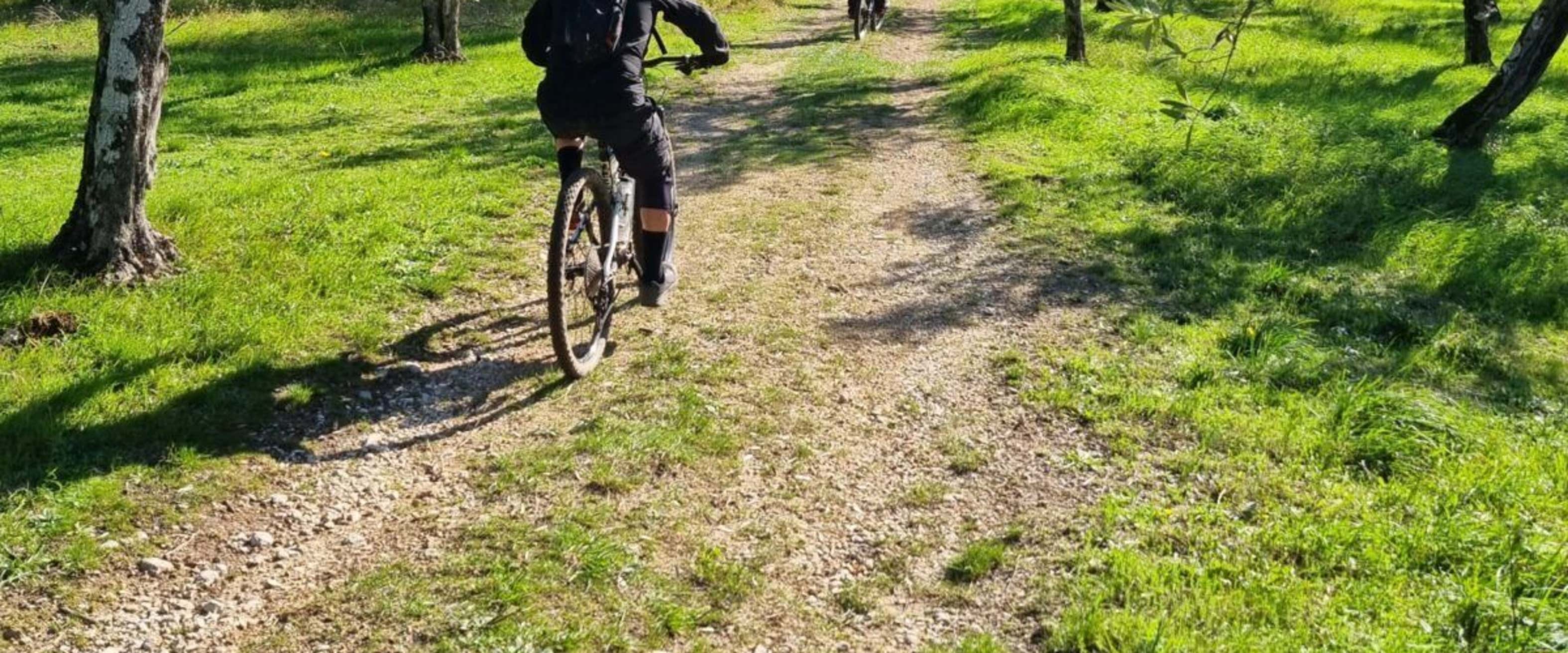 E-bike tour through the olive groves of Itri with oil tasting
