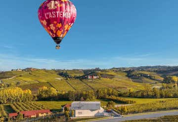 Volo condiviso in mongolfiera nelle Langhe e degustazione vini