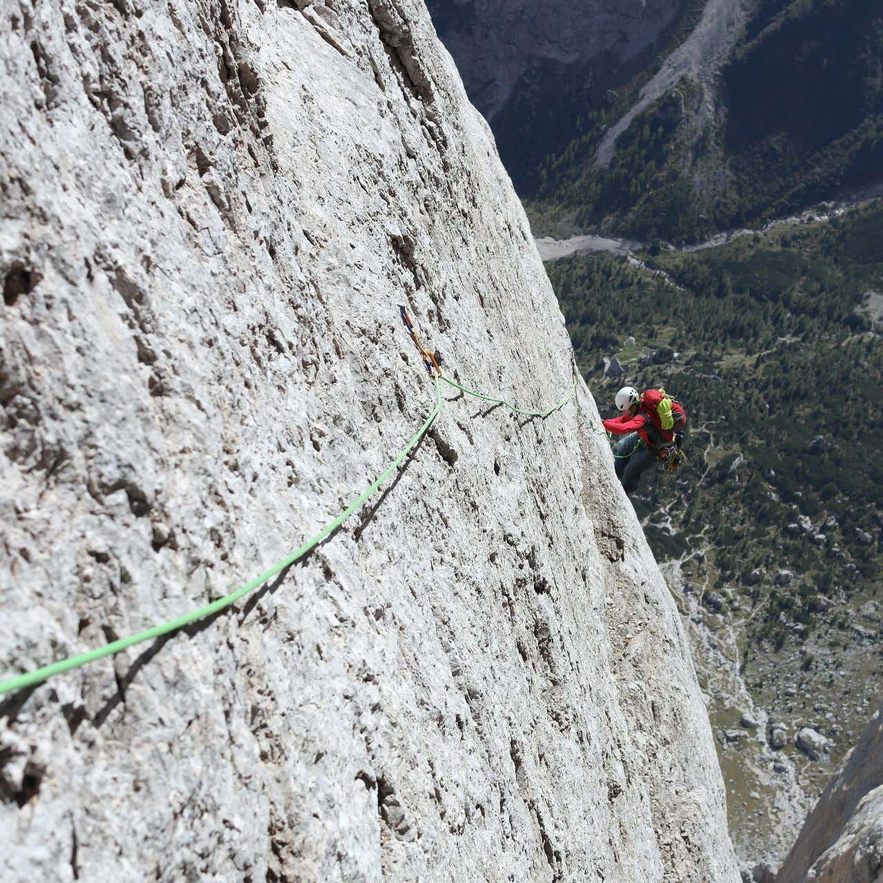 Piattaforma Galleggiante Per Rettili Con Ventosa - Rampa Per Tartarughe, Lucertole E Tritoni, Grigio, Medio - 7