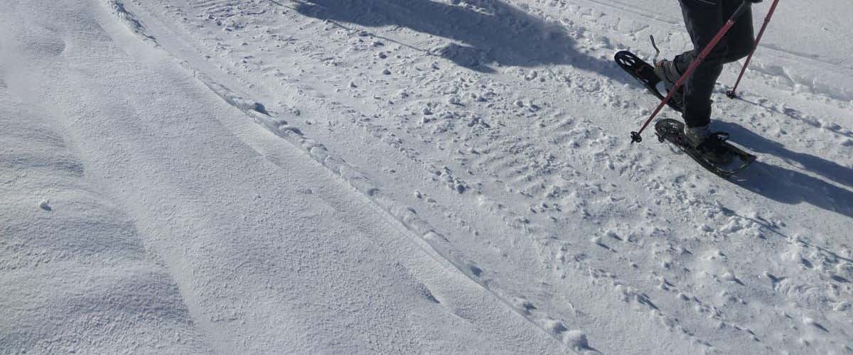 Ciaspolata a Montecampione in Valle Camonica al tramonto