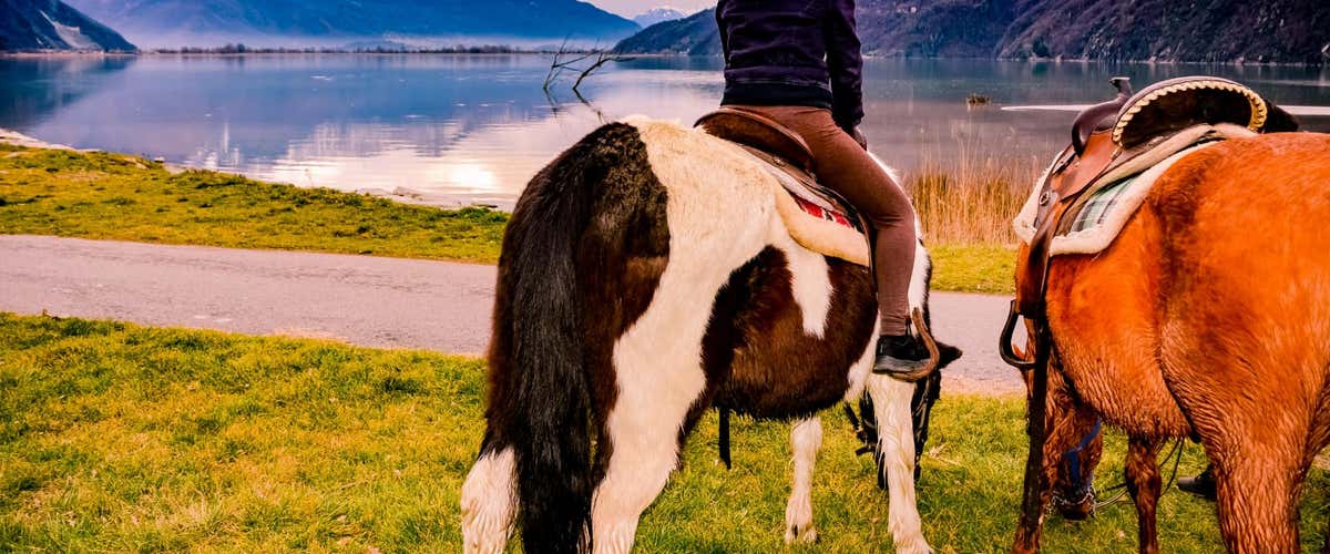 Horseback riding on Lake Mezzola in Valchiavenna