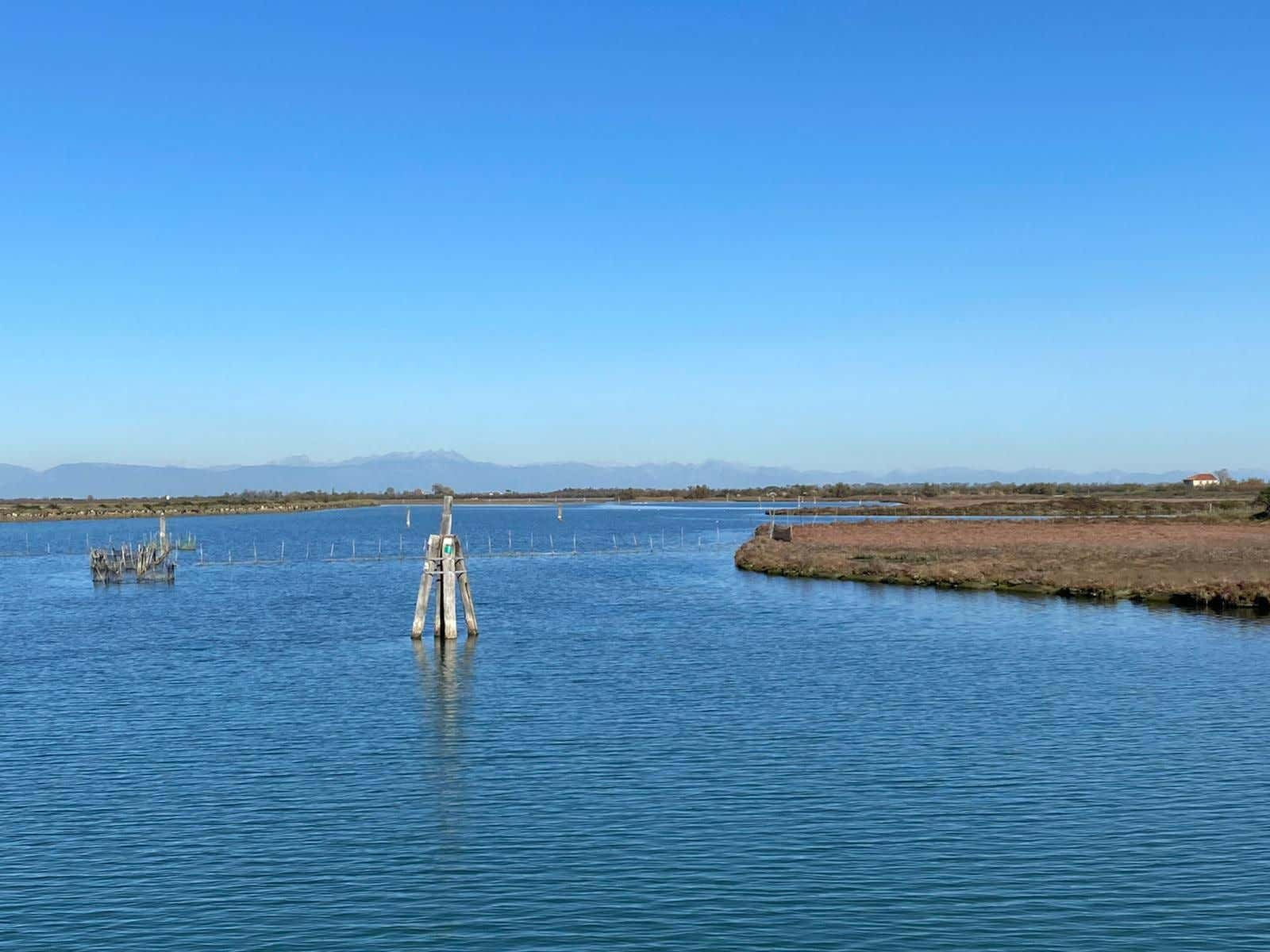 Tour in e-bike alla scoperta della Laguna di Venezia con pranzo
