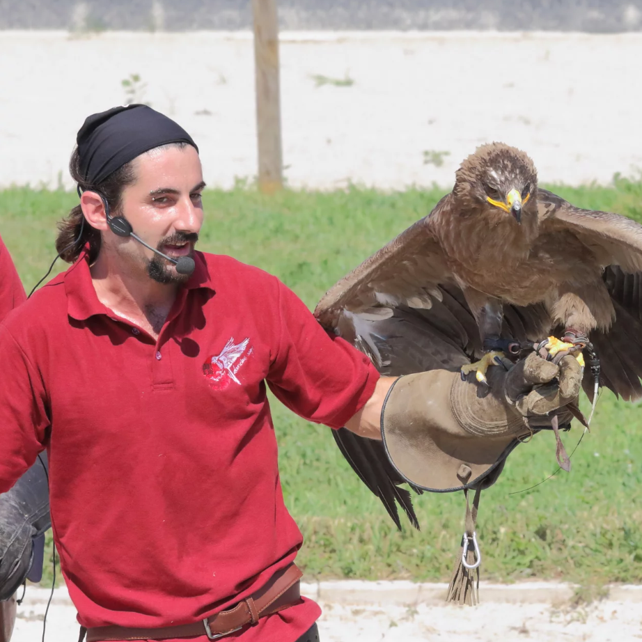 Esca Coniglio In Pelle E Pelliccia Marrone Per Falconeria - Allenamento Falchi E Falconi