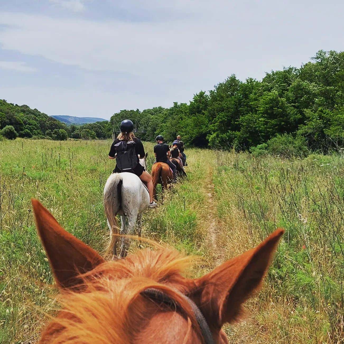 Passeggiata a cavallo nel piccolo canyon della Gallura