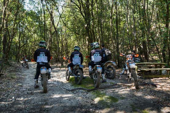 Passeggiate a cavallo Biella A partire da €45 Freedome