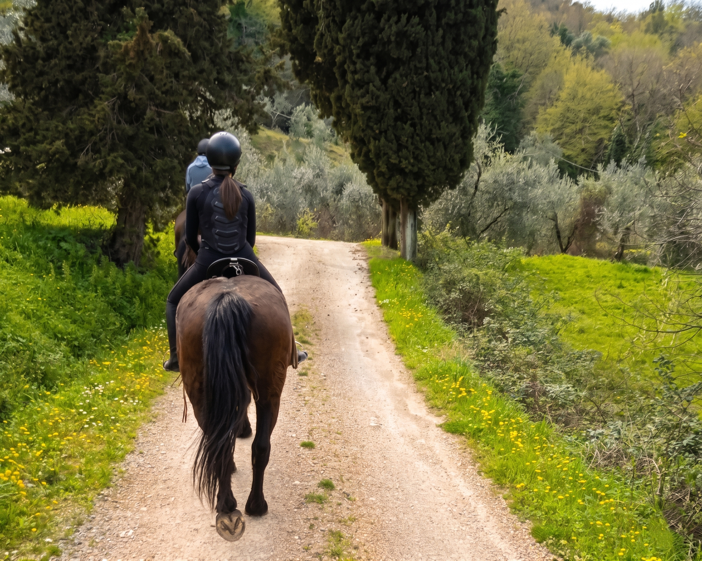 Passeggiata a cavallo per esperti nei boschi di Casciana Terme Lari
