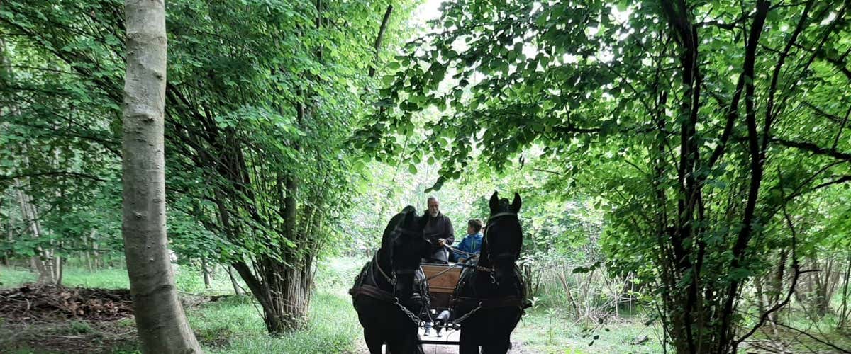 Giro in carrozza a Borgofranco d’Ivrea con degustazione