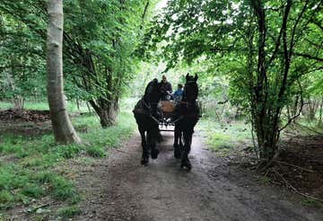 Giro in carrozza a Borgofranco d’Ivrea con degustazione