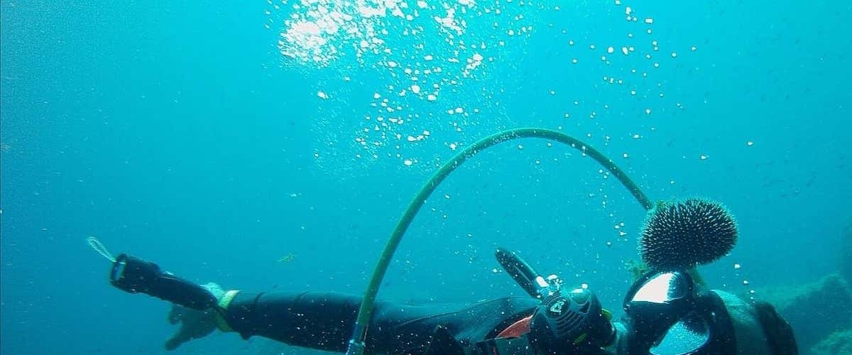 Battesimo del mare a Maratea