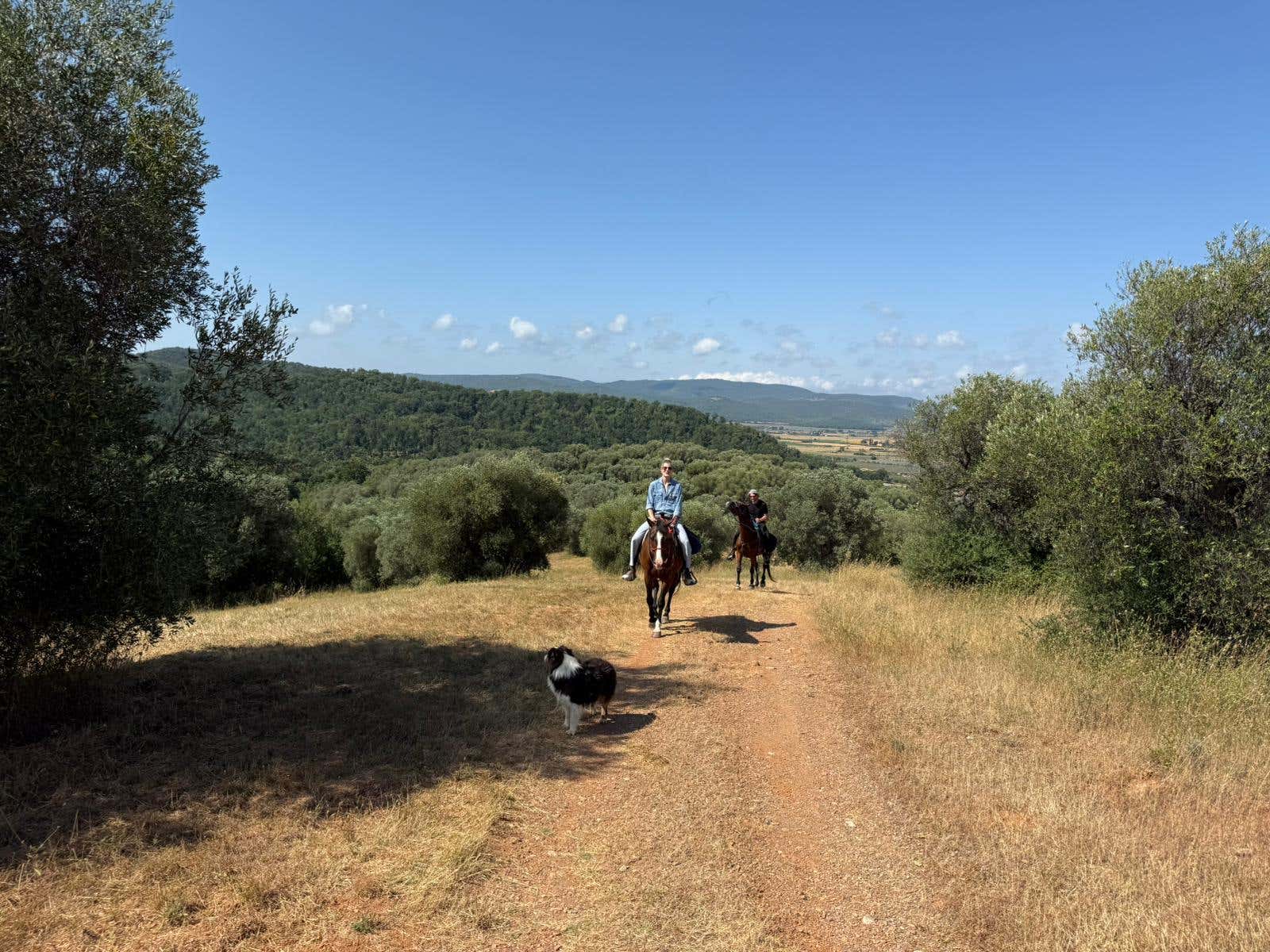 Passeggiata a cavallo nella Maremma Toscana con bagno al fiume