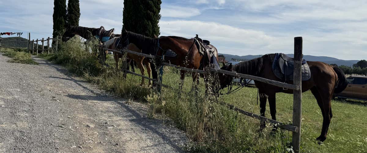 Scenic horseback ride in the Tuscan Maremma