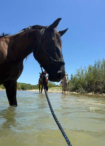 Horseback riding in the Tuscan Maremma with river bathing