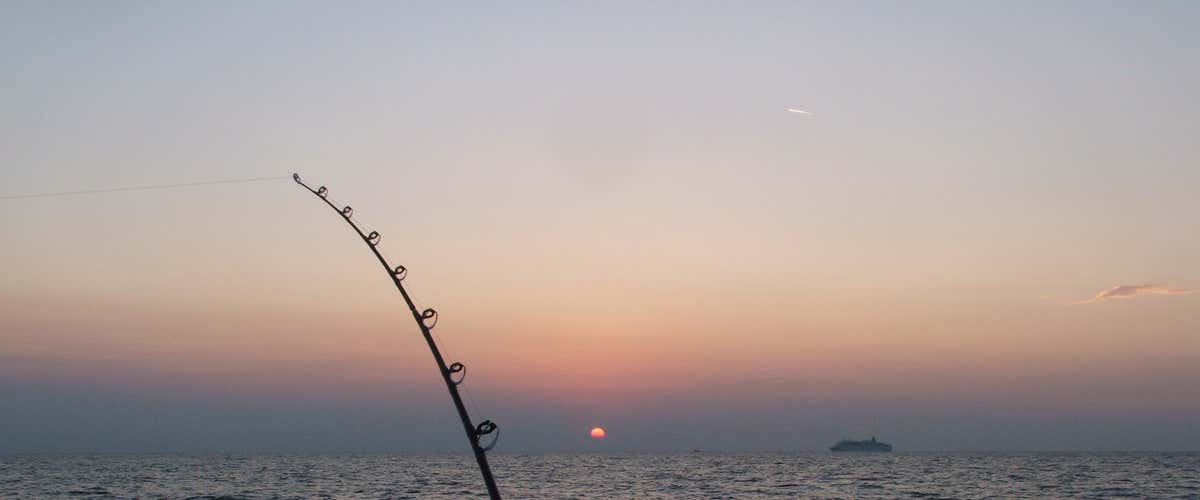 Fishing tour off the coast of Savona