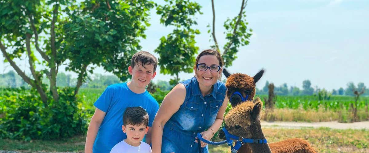 Walk with alpacas in the province of Bergamo and aperitif