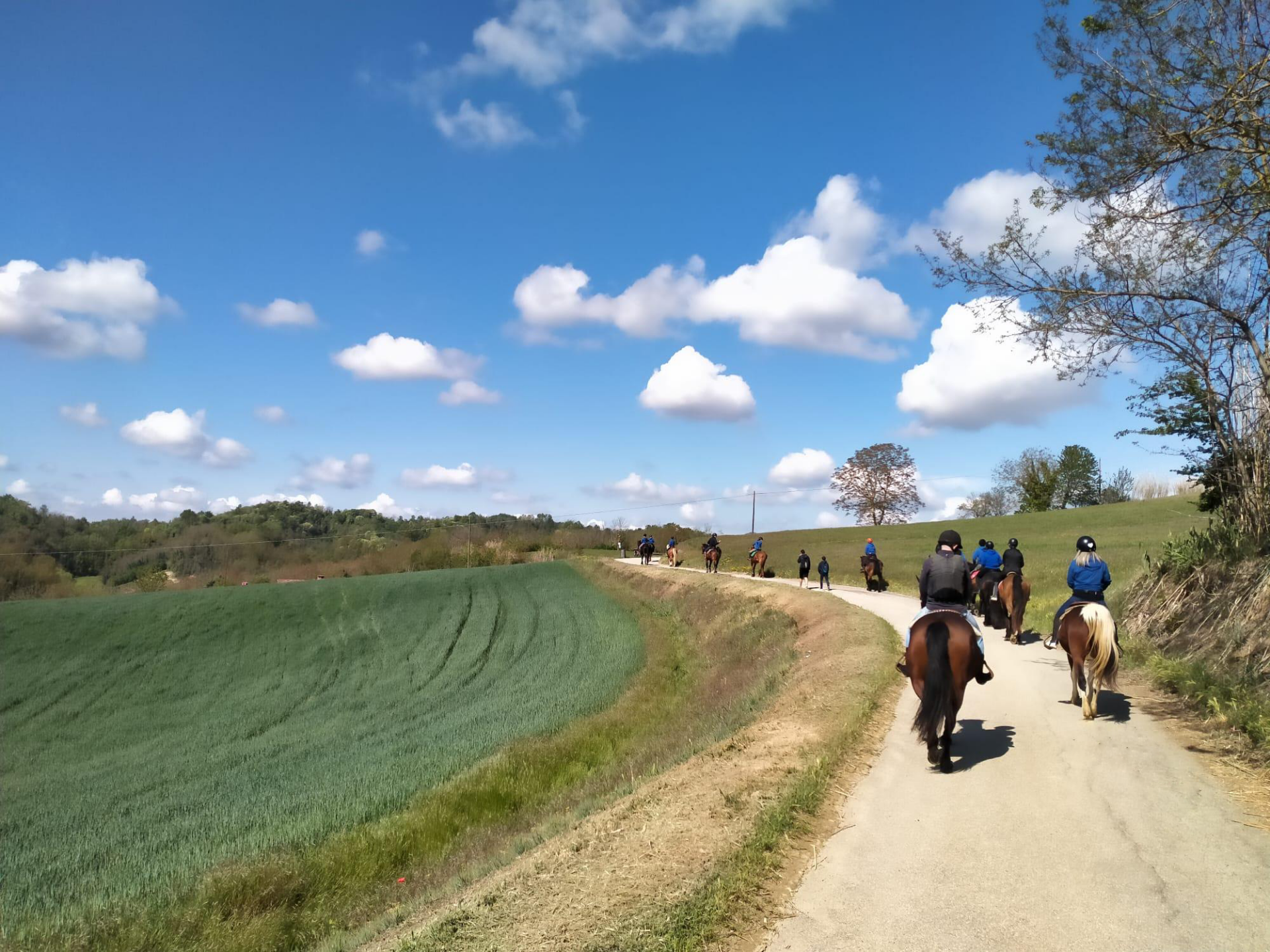 Passeggiata a cavallo di un'ora sulle colline del Monferrato