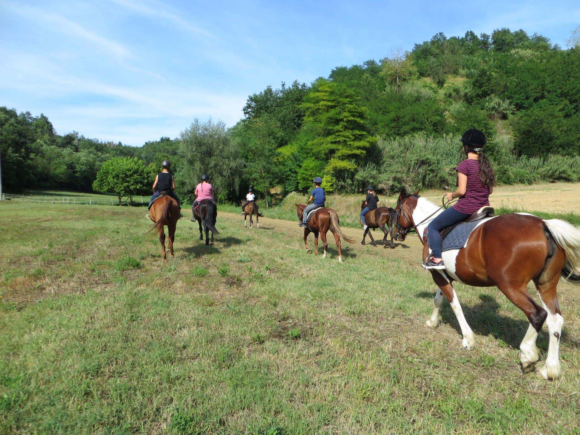 Passeggiata a cavallo tra le colline del Monferrato per esperti