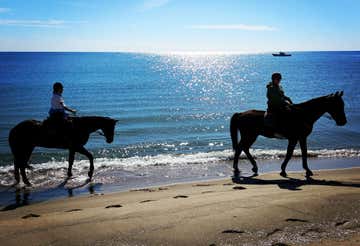 Passeggiata a cavallo sulla Spiaggia della Plaja a Catania