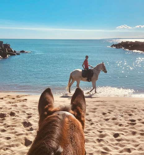 Passeggiata a cavallo sulla Spiaggia della Plaja a Catania