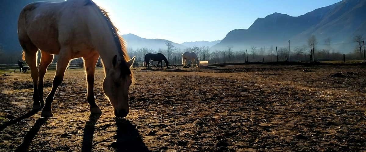 Lezione di equitazione a Madesimo