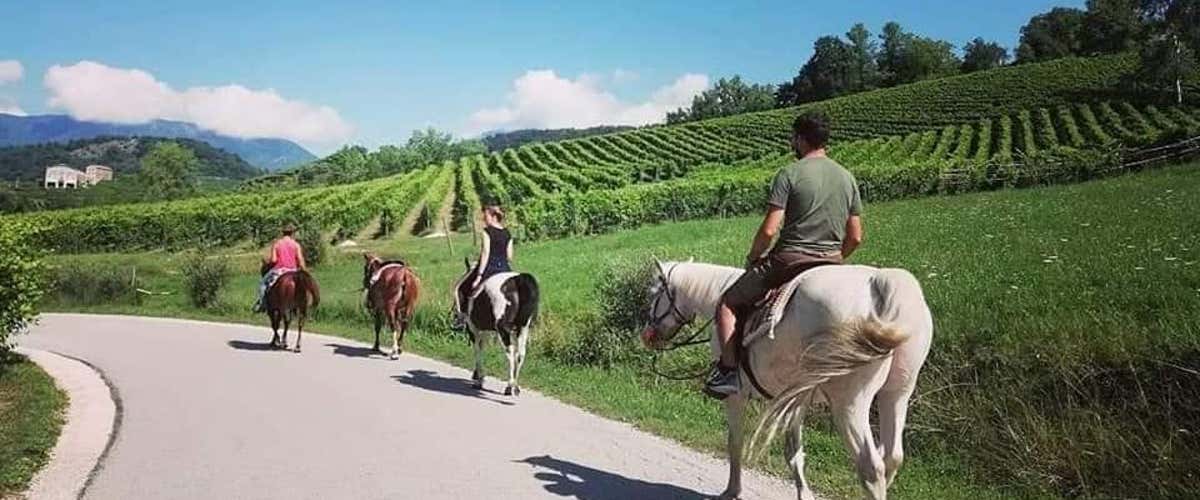 Passeggiata a cavallo di 2 ore sulle colline del Prosecco