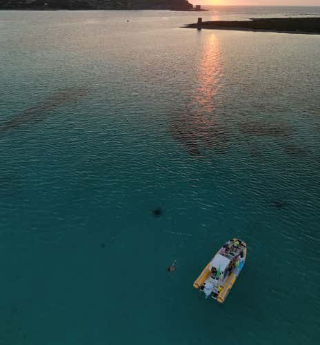 Dinghy tour to Asinara with sunset aperitif