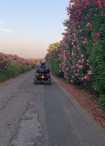 Quad tour between land and sea near Catanzaro
