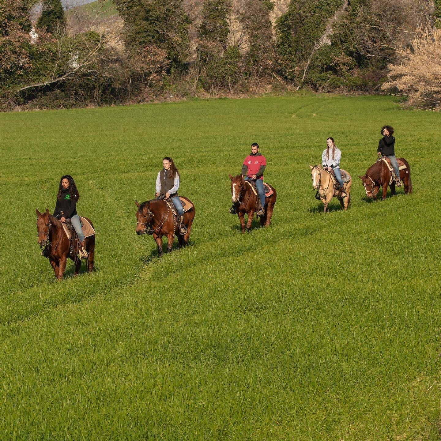 Passeggiata a cavallo di un'ora e mezza sulle colline abruzzesi