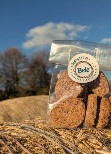 Passeggiata a cavallo invernale nel Parco dei Castelli Romani (e dolce regalo)