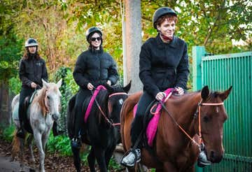 Passeggiata a cavallo invernale nel Parco dei Castelli Romani (e dolce regalo)