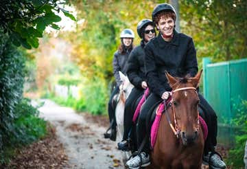 Passeggiata a cavallo invernale nel Parco dei Castelli Romani (e dolce regalo)