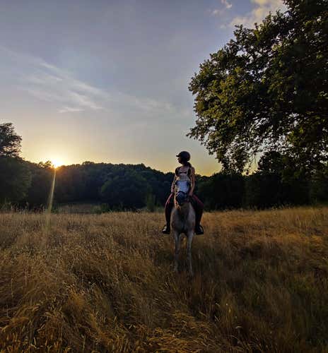 Horseback riding in the Castelli Romani Park at sunset