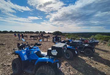 Quad bike tour in the Gulf of Orosei with aperitif