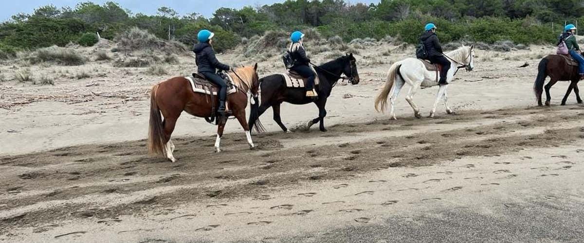 One and a half hour horse ride in Marina di Castagneto Carducci