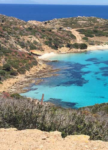 One-day catamaran tour to Asinara