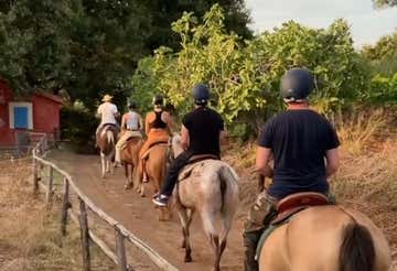 Horse riding in Santa Maria del Cedro in the province of Cosenza